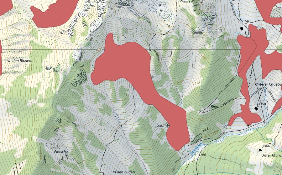 Landeskarte swisstopo mit dem Schutzperimeter von Pletscha (Trockenwiese)