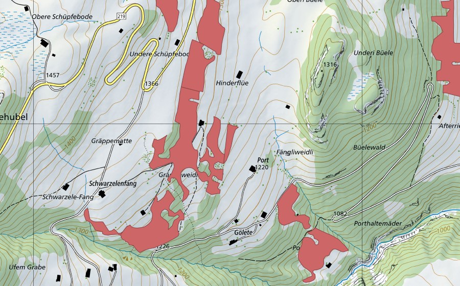 swisstopo national map showing the protected perimeter of Port (Dry meadow)