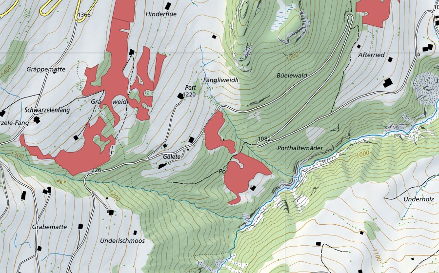 swisstopo national map showing the protected perimeter of Port (Dry meadow)
