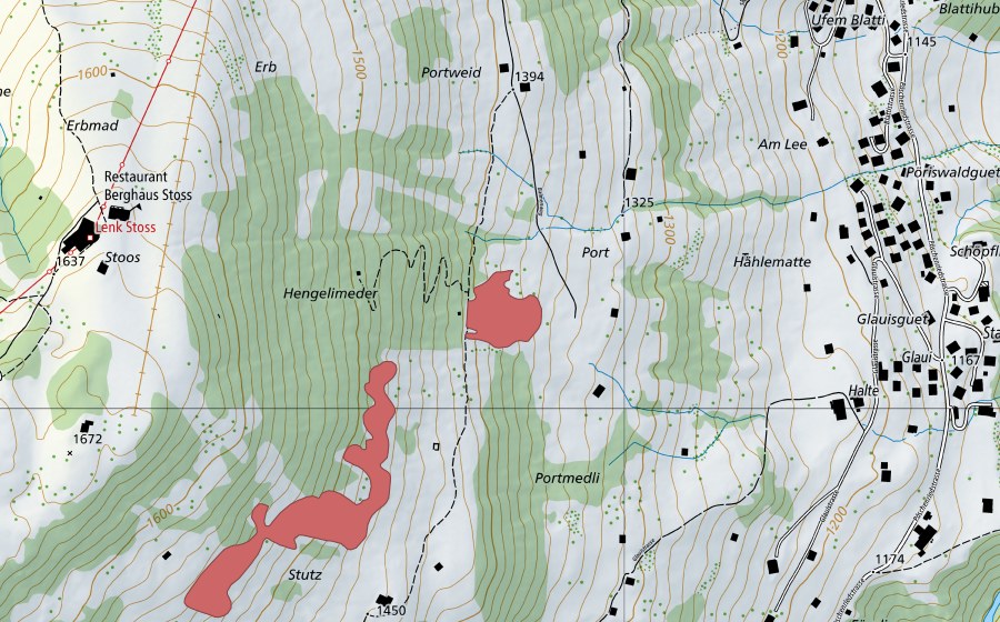 swisstopo national map showing the protected perimeter of Port (Dry meadow)