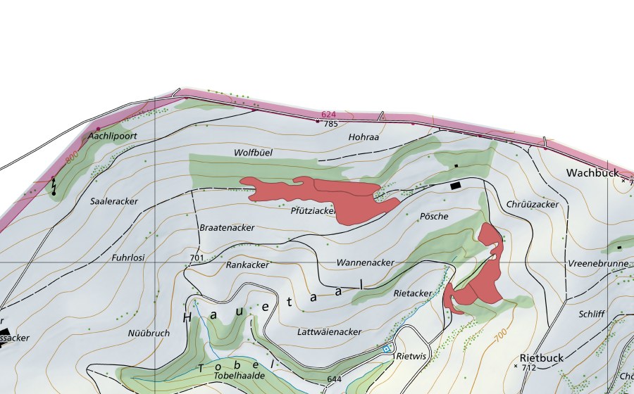 Carta nazionale swisstopo con il perimetro protetto di Pöschen (Prato secco)