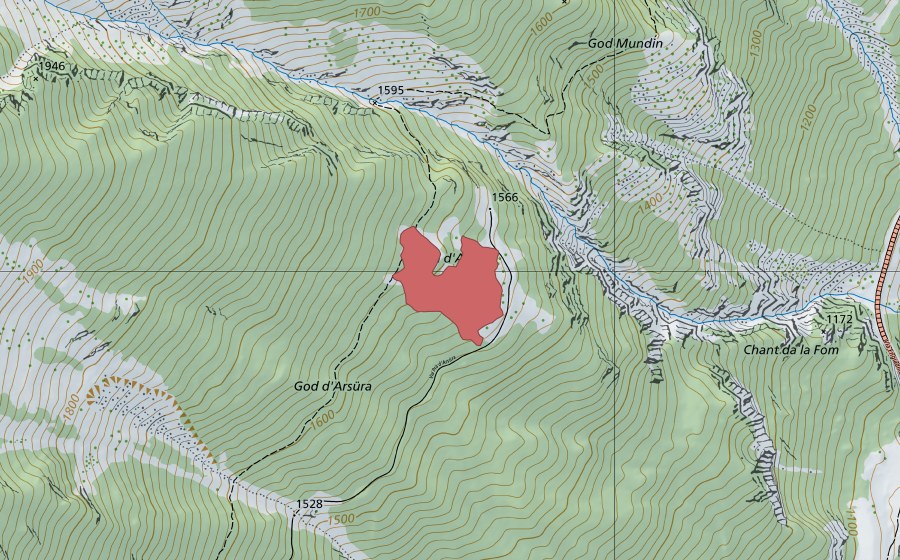 swisstopo national map showing the protected perimeter of Pra d'Arsüra (Dry meadow)
