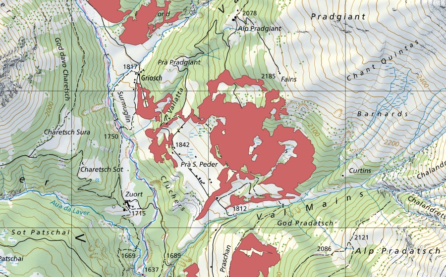 swisstopo national map showing the protected perimeter of Pra San Peder (Dry meadow)