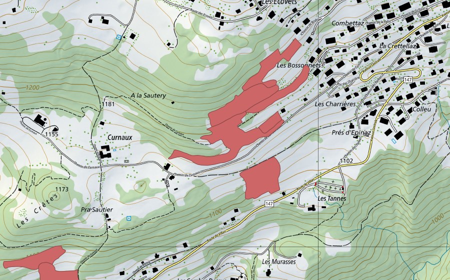 swisstopo national map showing the protected perimeter of Pra Sautier (Dry meadow)