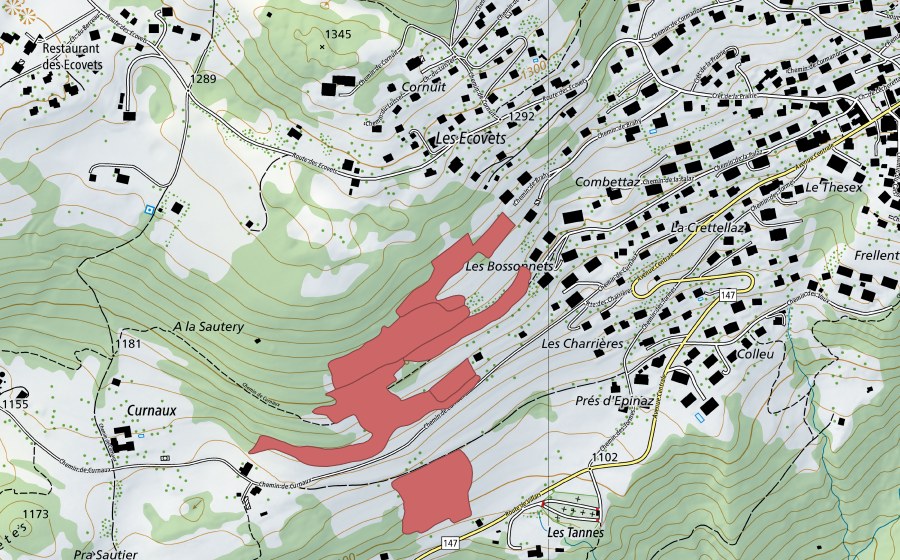 swisstopo national map showing the protected perimeter of Pra Sautier (Dry meadow)