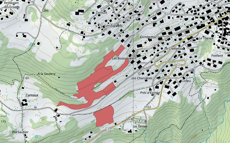 Landeskarte swisstopo mit dem Schutzperimeter von Pra Sautier (Trockenwiese)