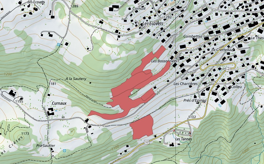 Landeskarte swisstopo mit dem Schutzperimeter von Pra Sautier (Trockenwiese)