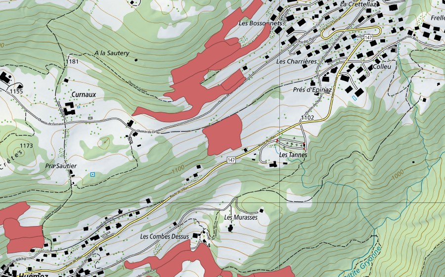 Landeskarte swisstopo mit dem Schutzperimeter von Pra Sautier (Trockenwiese)