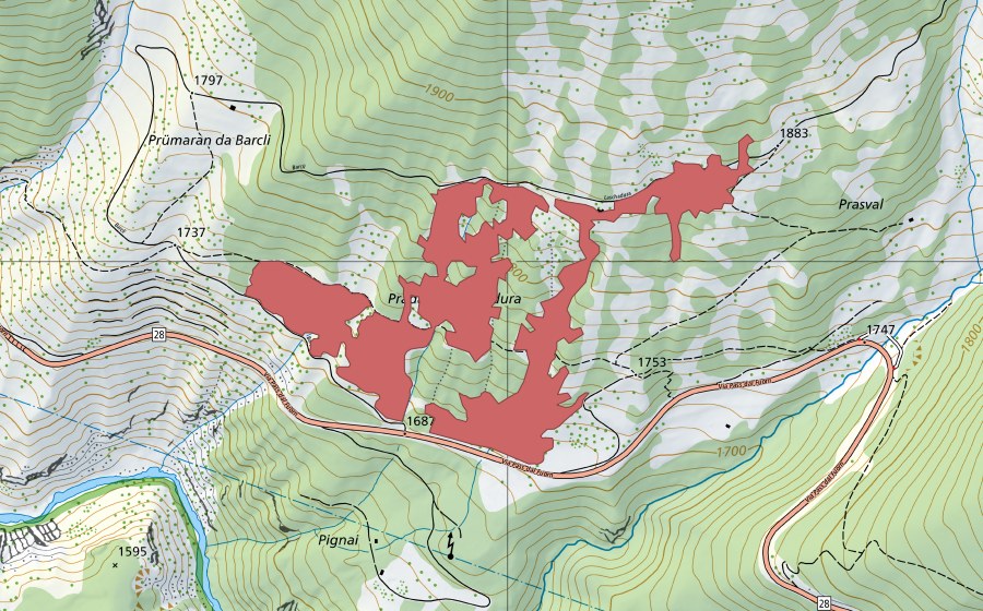 Landeskarte swisstopo mit dem Schutzperimeter von Prada Laschadura (Trockenwiese)