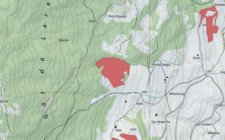 swisstopo national map showing the protected perimeter of Prada Setga (Dry meadow)