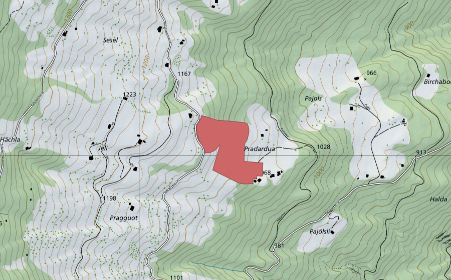 swisstopo national map showing the protected perimeter of Pradardua (Dry meadow)