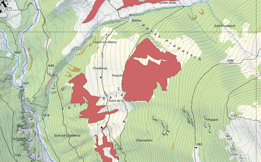 swisstopo national map showing the protected perimeter of Pradatsch (Dry meadow)