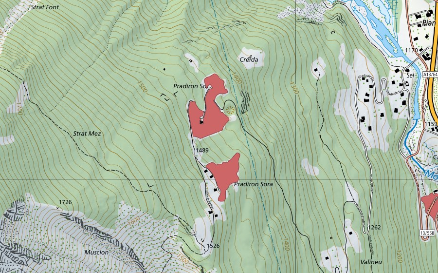 swisstopo national map showing the protected perimeter of Pradiron Sot (Dry meadow)