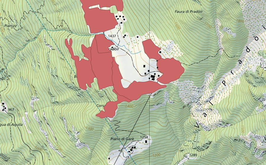 swisstopo national map showing the protected perimeter of Pradóir (Dry meadow)