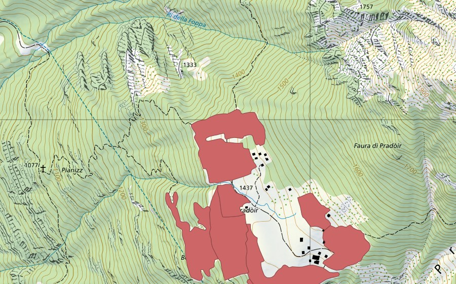 swisstopo national map showing the protected perimeter of Pradóir (Dry meadow)