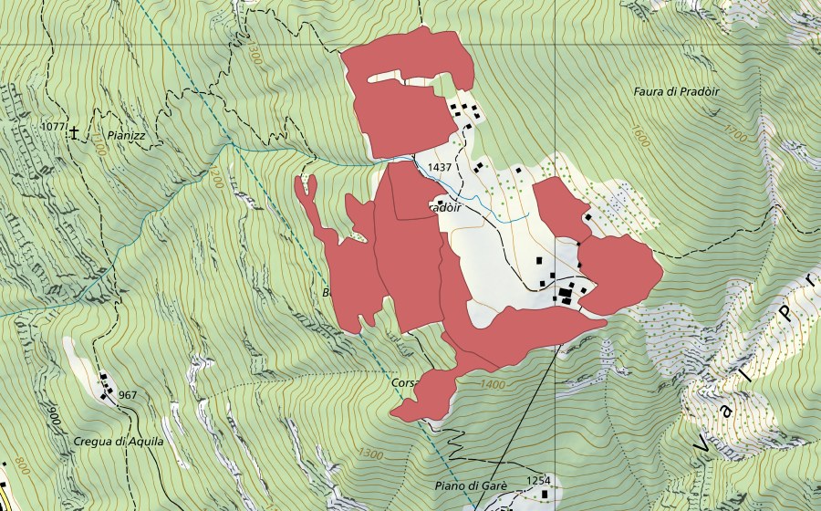 Landeskarte swisstopo mit dem Schutzperimeter von Pradóir (Trockenwiese)