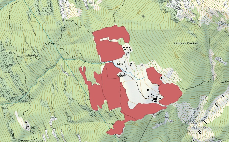 Landeskarte swisstopo mit dem Schutzperimeter von Pradóir (Trockenwiese)