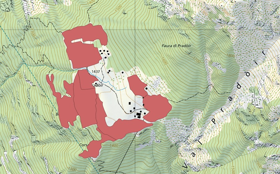 swisstopo national map showing the protected perimeter of Pradóir (Dry meadow)
