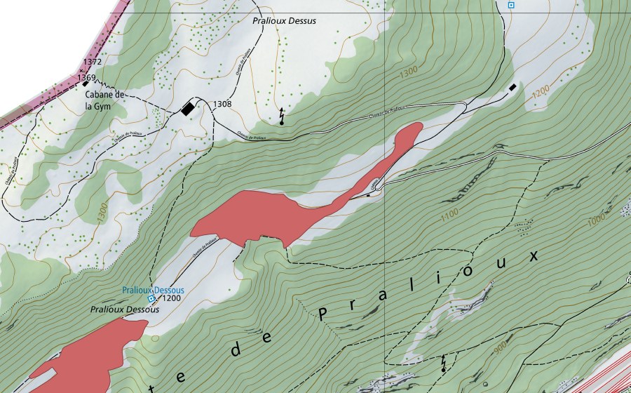 Carte nationale swisstopo avec le périmètre protégé de Pralioux Dessous (Prairie sèche)