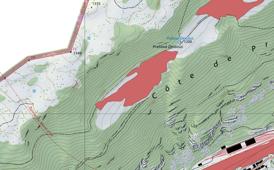 Landeskarte swisstopo mit dem Schutzperimeter von Pralioux Dessous (Trockenwiese)