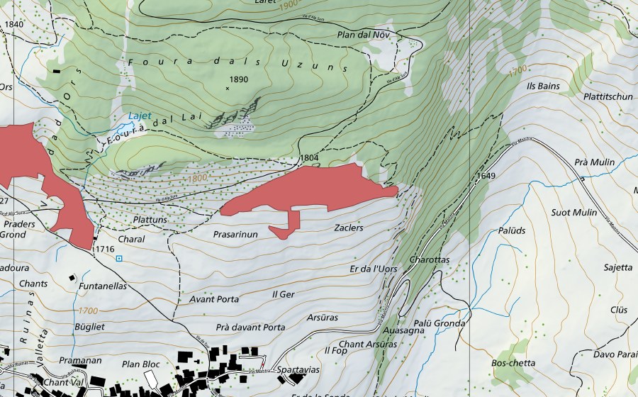 Carte nationale swisstopo avec le périmètre protégé de Prasarinun (Prairie sèche)