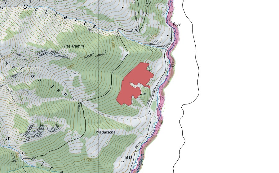 Landeskarte swisstopo mit dem Schutzperimeter von Prasiras (Trockenwiese)