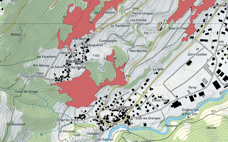 Landeskarte swisstopo mit dem Schutzperimeter von Prassurny (Trockenwiese)