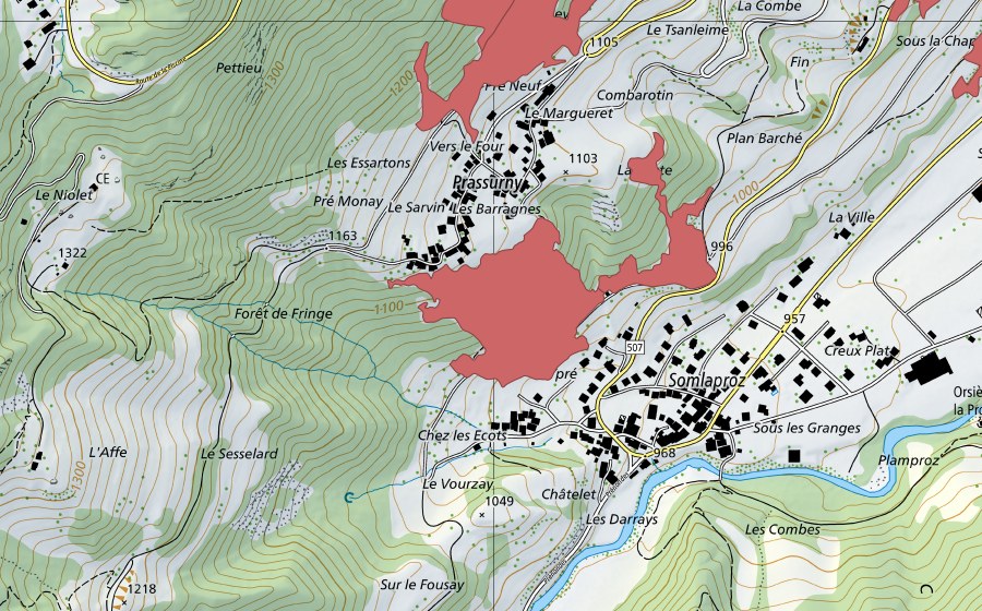 Carte nationale swisstopo avec le périmètre protégé de Prassurny (Prairie sèche)