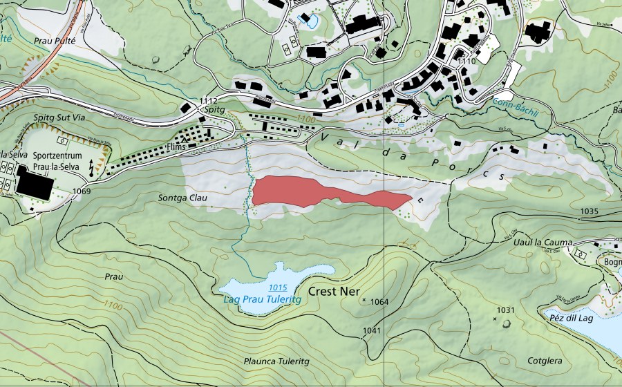 Carte nationale swisstopo avec le périmètre protégé de Prau Tuleritg (Prairie sèche)