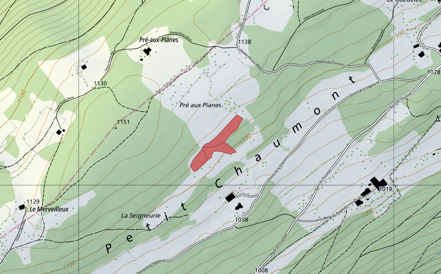swisstopo national map showing the protected perimeter of Pré aux Planes (Dry meadow)