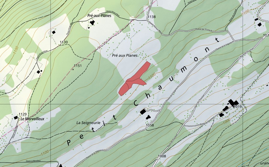 swisstopo national map showing the protected perimeter of Pré aux Planes (Dry meadow)