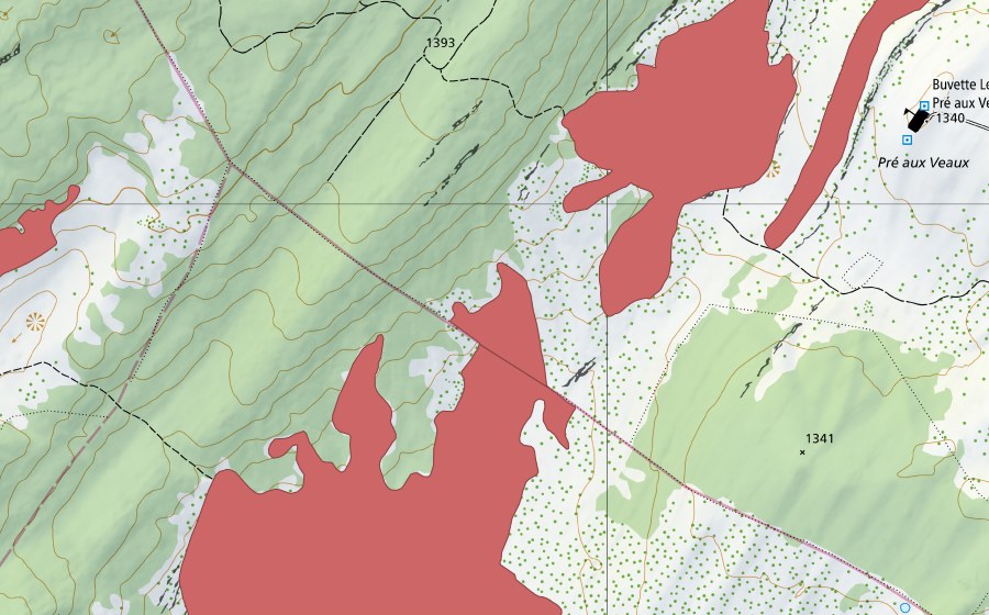 swisstopo national map showing the protected perimeter of Pré aux Veaux (Dry meadow)