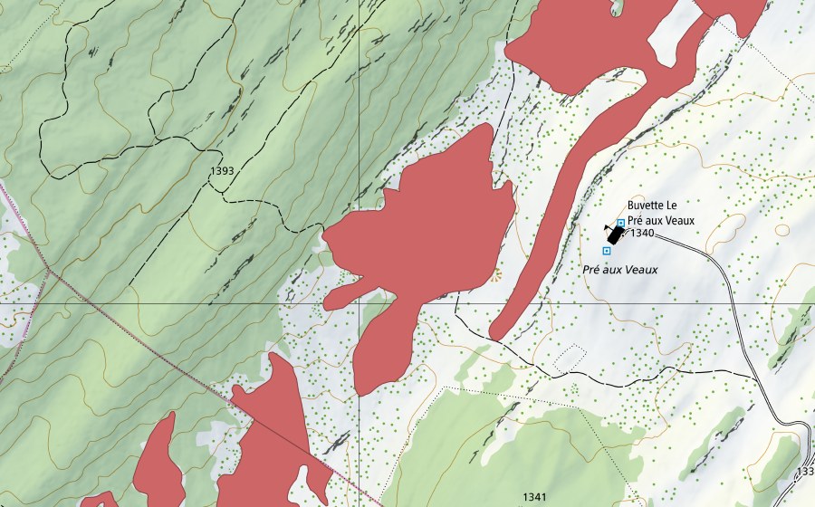 swisstopo national map showing the protected perimeter of Pré aux Veaux (Dry meadow)