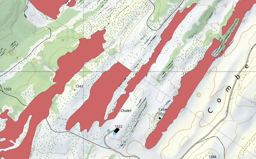 Landeskarte swisstopo mit dem Schutzperimeter von Pré aux Veaux (Trockenwiese)