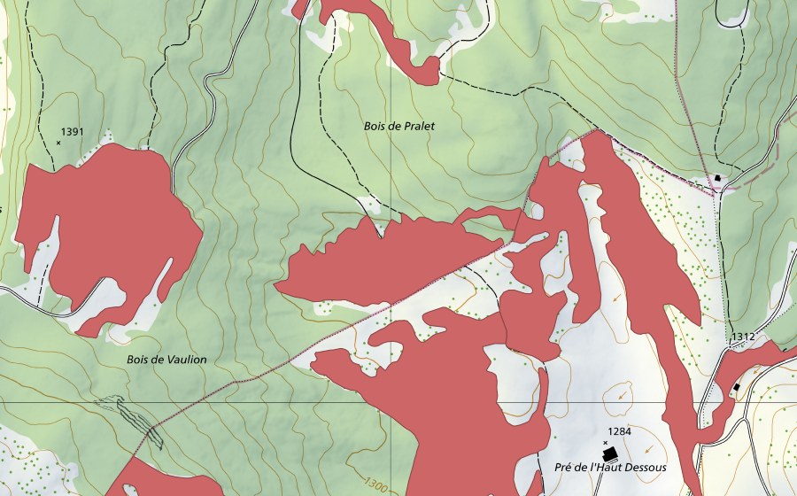 Landeskarte swisstopo mit dem Schutzperimeter von Pré de l'Haut Dessous (Trockenwiese)