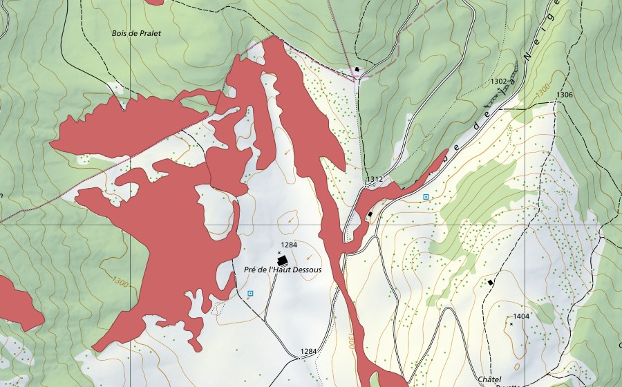 Landeskarte swisstopo mit dem Schutzperimeter von Pré de l'Haut Dessous (Trockenwiese)