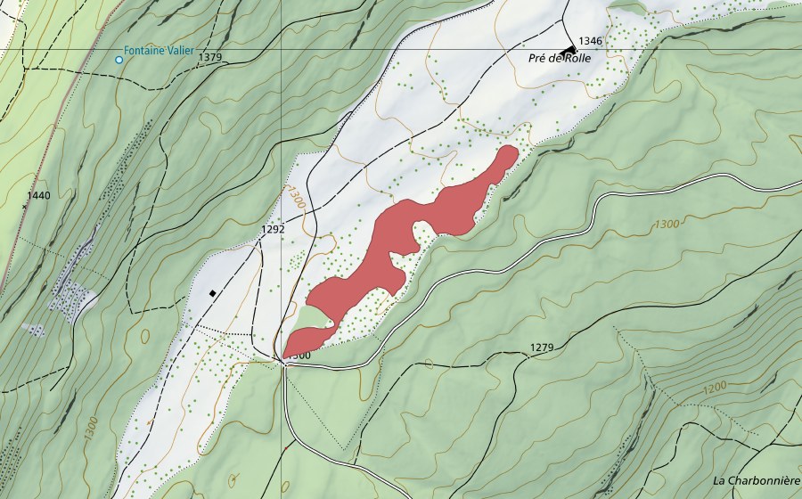 swisstopo national map showing the protected perimeter of Pré de Rolle (Dry meadow)