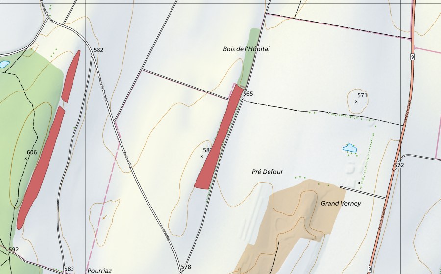 Landeskarte swisstopo mit dem Schutzperimeter von Pré Defour (Trockenwiese)