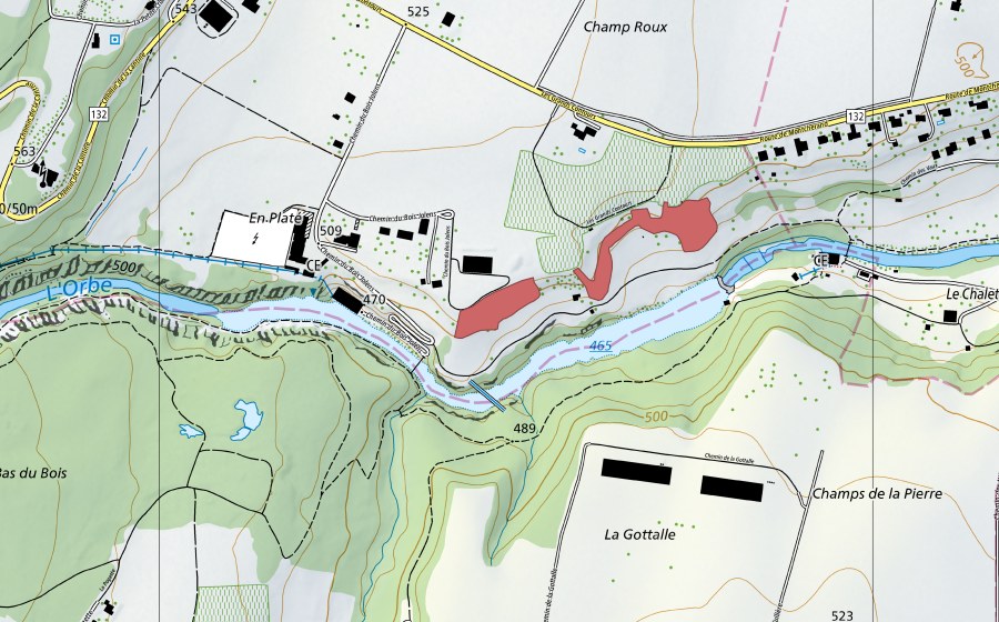 Landeskarte swisstopo mit dem Schutzperimeter von Pré du Moulin (Trockenwiese)