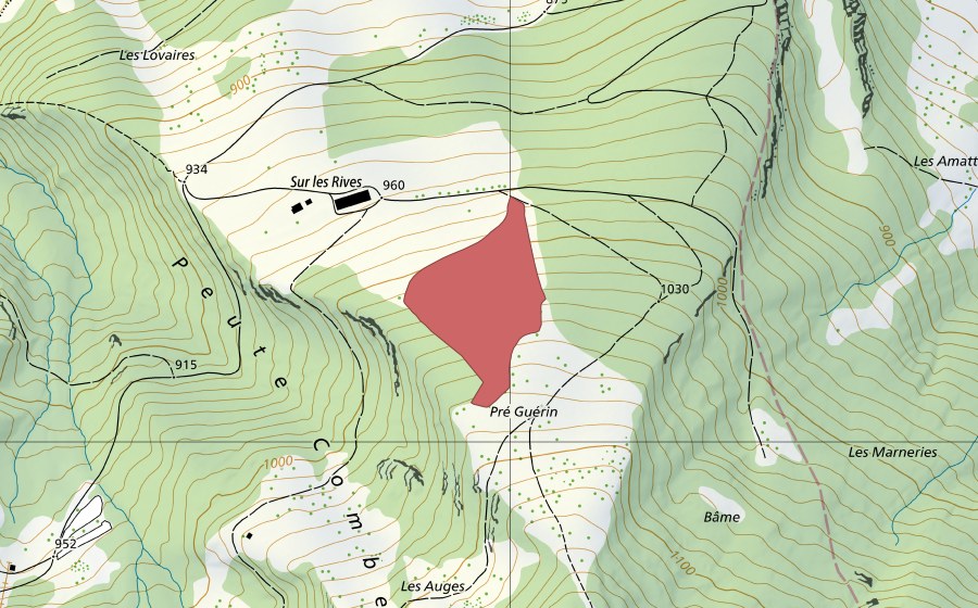 Carte nationale swisstopo avec le périmètre protégé de Pré Guérin (Prairie sèche)