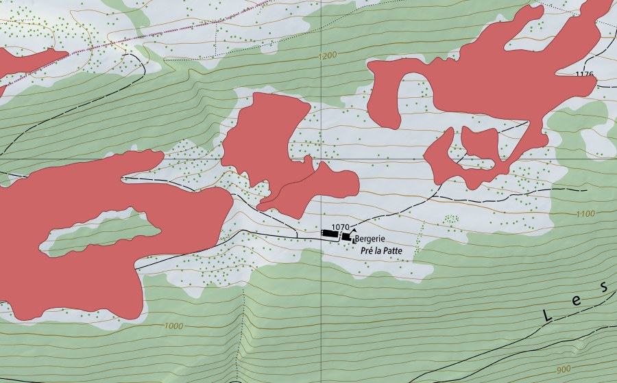 Landeskarte swisstopo mit dem Schutzperimeter von Pré la Patte (Trockenwiese)