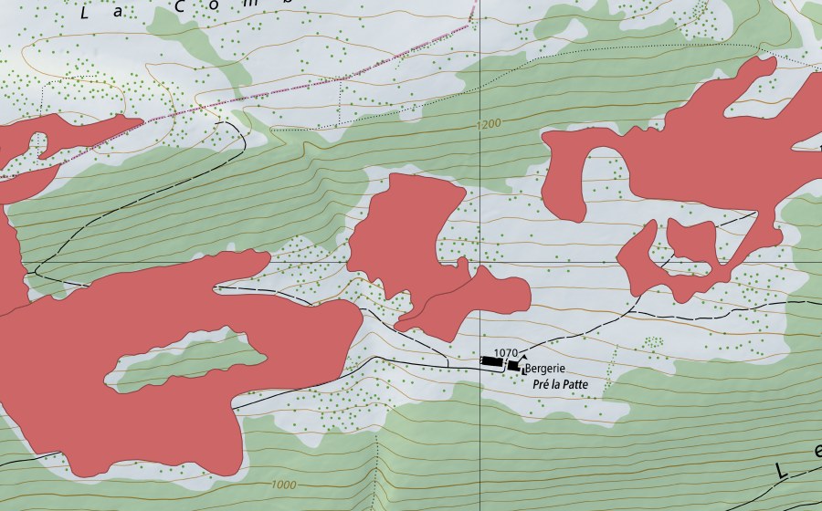 Landeskarte swisstopo mit dem Schutzperimeter von Pré la Patte (Trockenwiese)