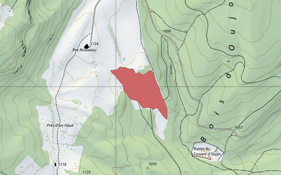 swisstopo national map showing the protected perimeter of Pré Nouveau (Dry meadow)