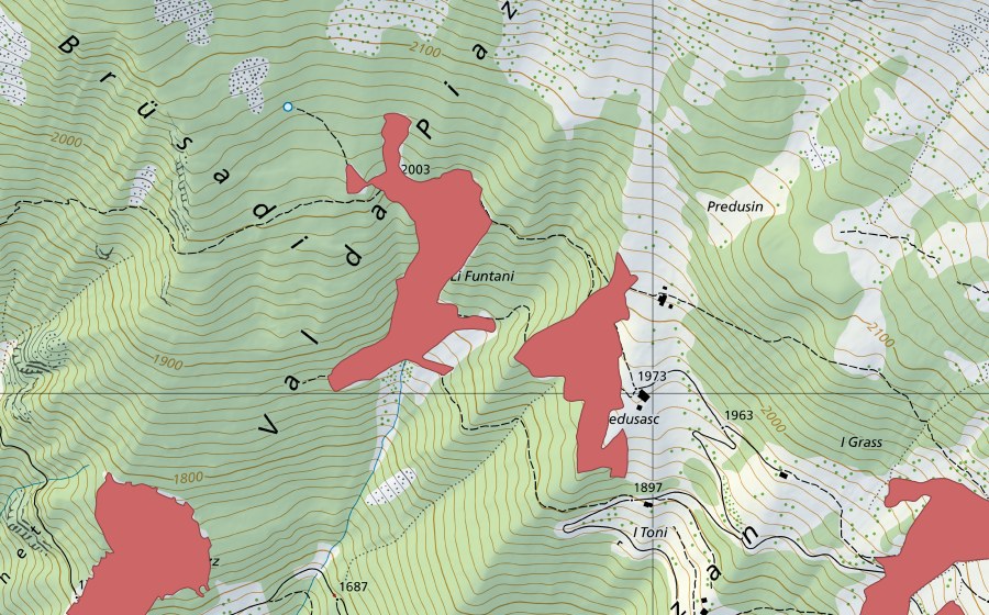 swisstopo national map showing the protected perimeter of Predusasc (Dry meadow)