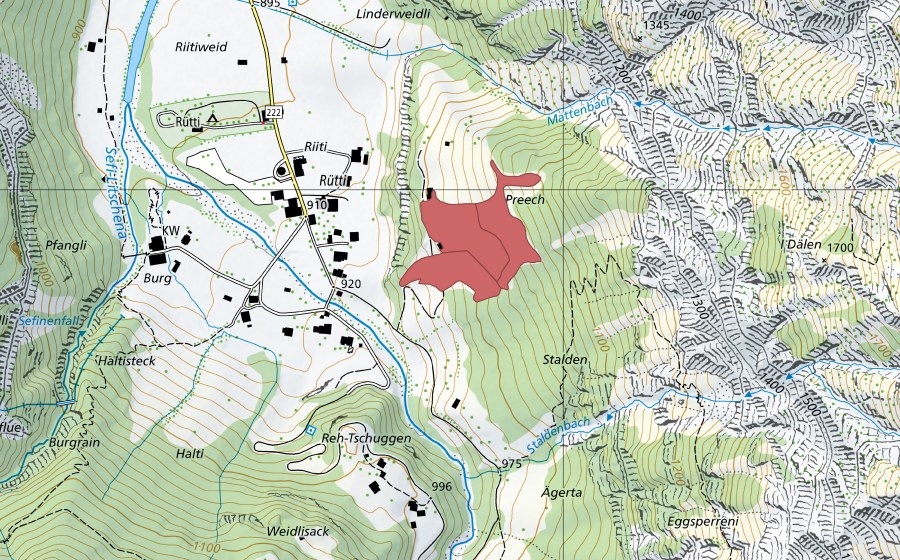 swisstopo national map showing the protected perimeter of Preech (Dry meadow)