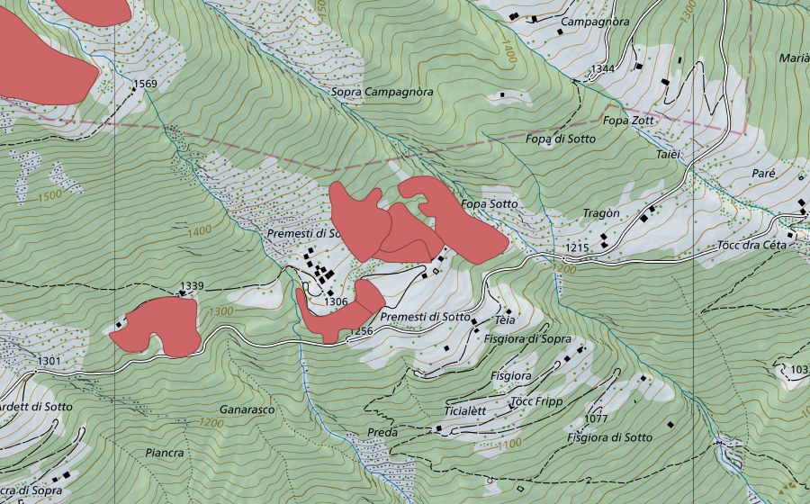 swisstopo national map showing the protected perimeter of Premesti (Dry meadow)