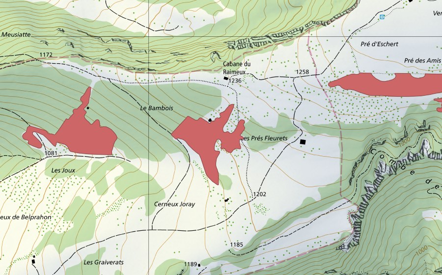 Carte nationale swisstopo avec le périmètre protégé de Prés Fleurets (Prairie sèche)