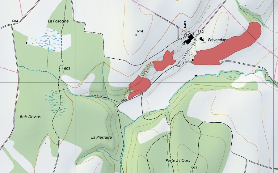 Landeskarte swisstopo mit dem Schutzperimeter von Prévondavaux (Trockenwiese)