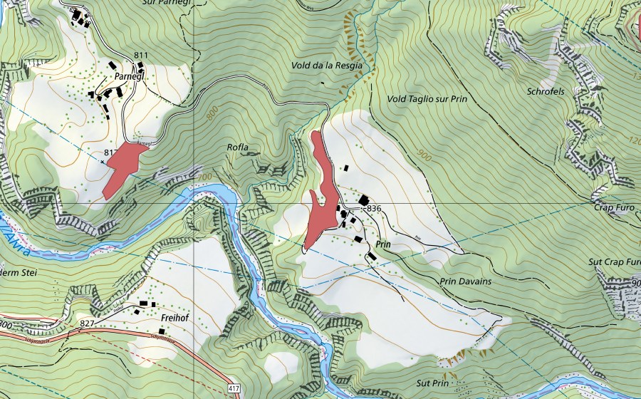 Landeskarte swisstopo mit dem Schutzperimeter von Prin (Trockenwiese)