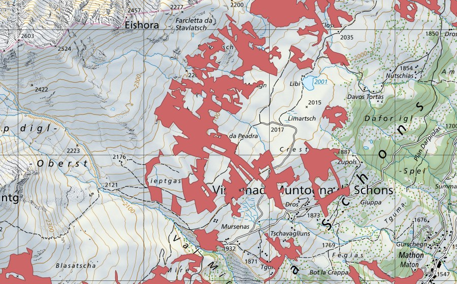 Landeskarte swisstopo mit dem Schutzperimeter von Pro da Peadra (Trockenwiese)